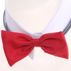 Gvavaya Anime Cosplay Danganronpa Enoshima Junko Bunny Girl Cosplay Costume -Gvavaya Deals Store 5 25dc8e1b e64d 4a5d aea0 f747b2a6d457