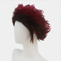 Gvavaya Cosplay Demon Slayer: Kimetsu No Yaiba Kamado Tanjiro Cosplay Wig Demon Slaying Corps 28cm Short Wig -Gvavaya Deals Store O1CN01w8Wobm1DYSzqeNzKA 2205307740228 0 cib